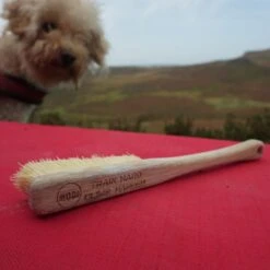 Moon Voyager Brush 20 Moon Voyager Brush -Petzl Shop 001 bp 2572 13 25 05 48 copy