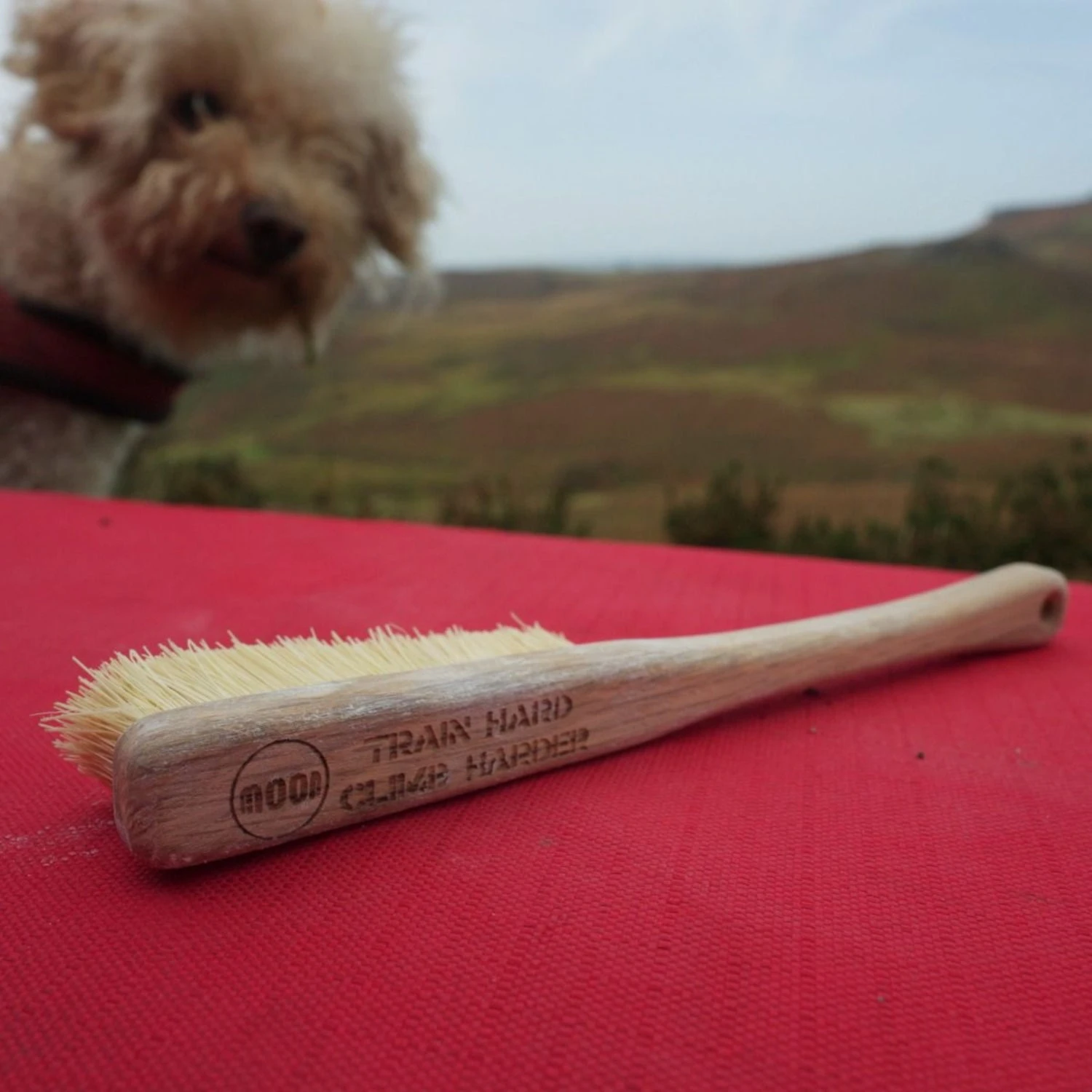 Moon Voyager Brush 10 Moon Voyager Brush - Image 10