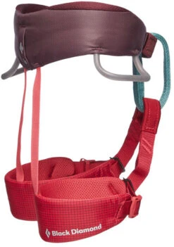 Black Diamond Momentum Kids Harness 5 Black Diamond Momentum Kids Harness -Petzl Shop 2d7c30be 5de6 4c53 8a90 200c8e809db9651103 6012 MOMENTUMHARNESS KIDS WildRose Profile