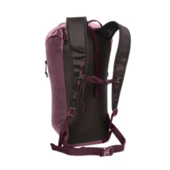 Blue Ice Dragonfly 18L -Petzl Shop Dragonfly18 winetasting back web