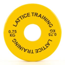 Lattice Fractional Weight Plates -Petzl Shop Fractional Weight Plates 3