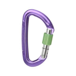 Wild Country Session Screwgate