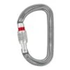 Petzl Am'D Screw-Lock