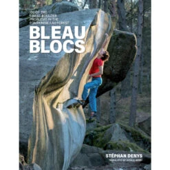 Bleau Blocs