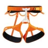 Petzl Hirundos Harness